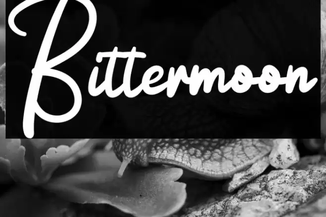 Bittermoon Font examples
