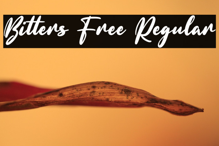 Bitters Free Regular Example 1