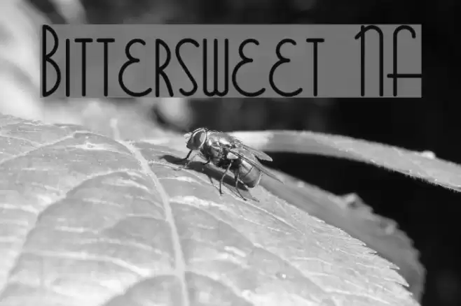 Bittersweet NF Font examples