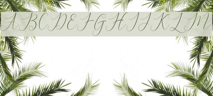 BitthaiScript Font examples