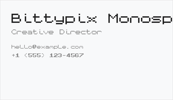 Bittypix Monospace Business Card