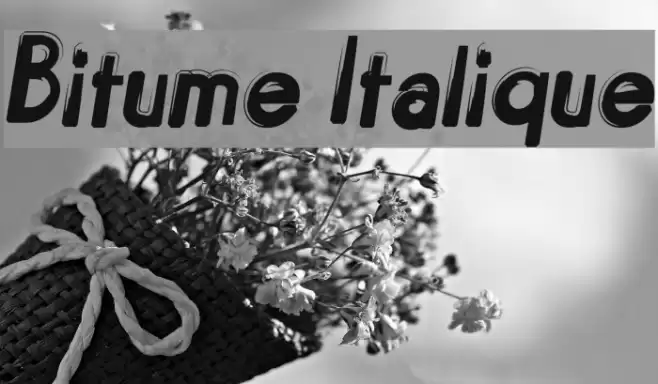 Bitume Italique Font examples