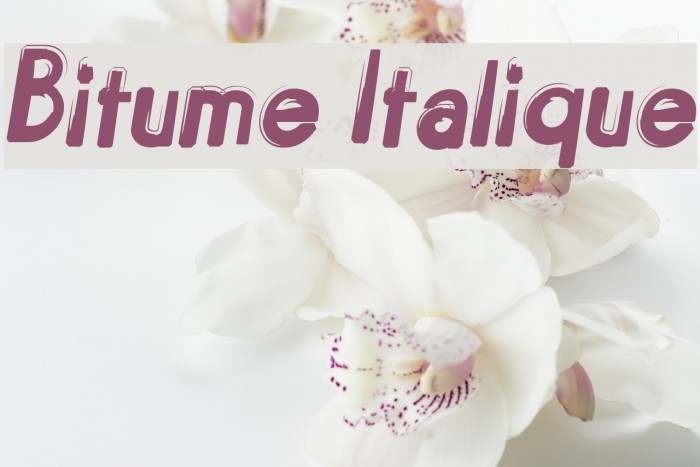 Bitume Italique Font examples