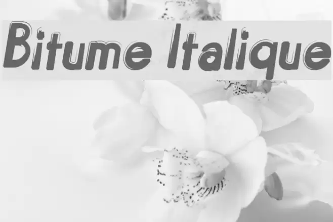 Bitume Italique Font examples
