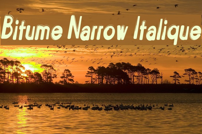 Bitume Narrow Italique Font examples