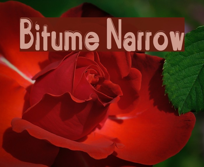 Bitume Narrow Font examples