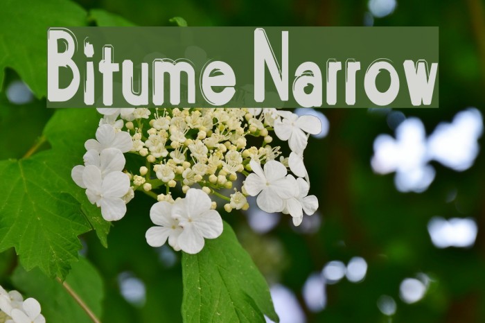 Bitume Narrow Font examples