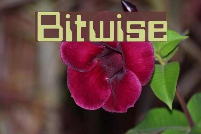 Bitwise Fonte examples