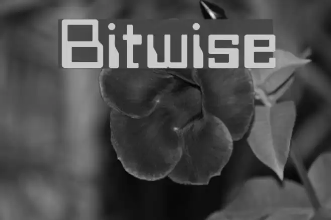 Bitwise Fonte examples