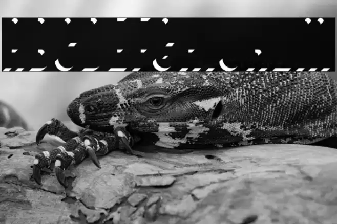 BivoacDarkShadowDemo-DarkShadow Font examples