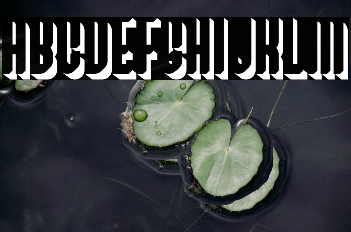 BivoacDropShadowDemo-DropShadow Example 1