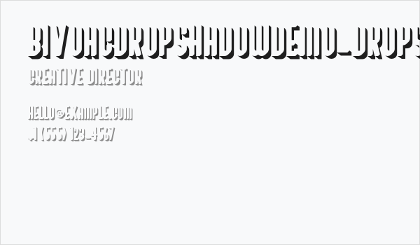 BivoacDropShadowDemo-DropShadow Business Card