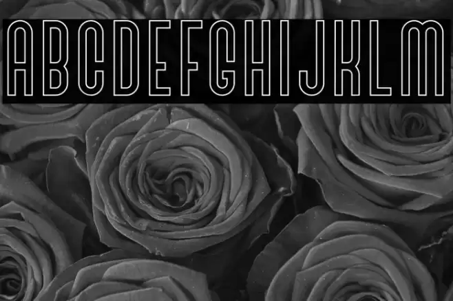 BivoacOutlineDemo-Outline Font examples