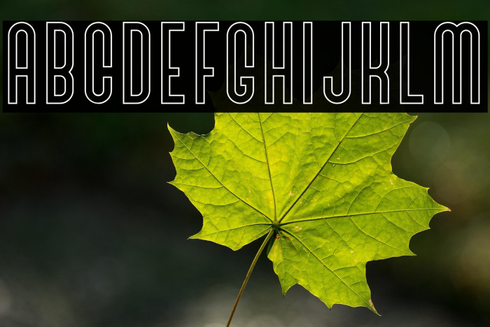 BivoacOutlineDemo-Outline Example 3