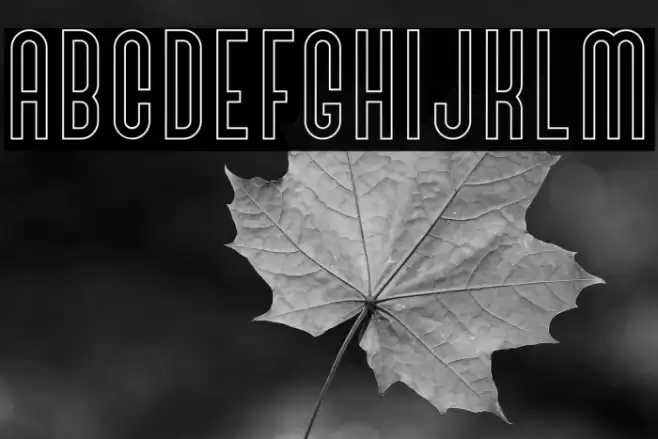 BivoacOutlineDemo-Outline Font examples