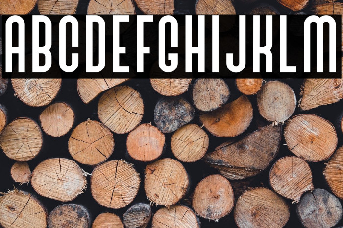 BivoacRegulerDemo Example 1