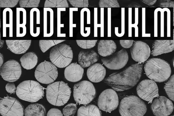 BivoacRegulerDemo Font examples