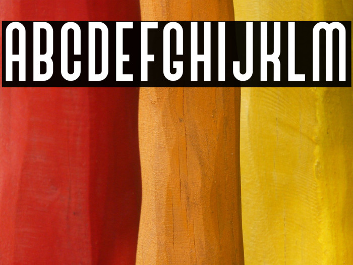 BivoacRegulerDemo Example 2