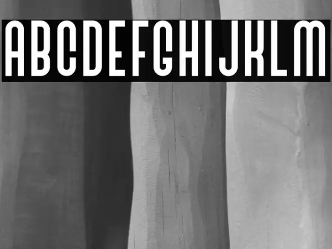 BivoacRegulerDemo Font examples