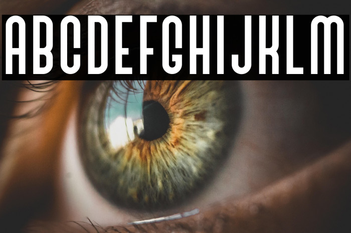 BivoacRegulerDemo Example 3