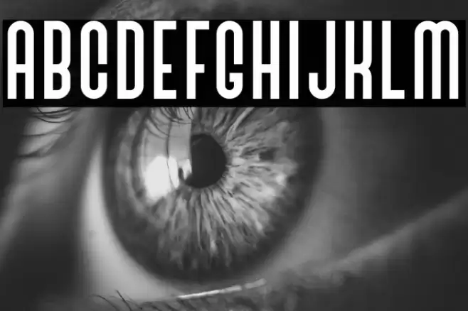 BivoacRegulerDemo Font examples