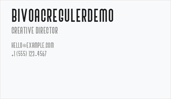 BivoacRegulerDemo Business Card