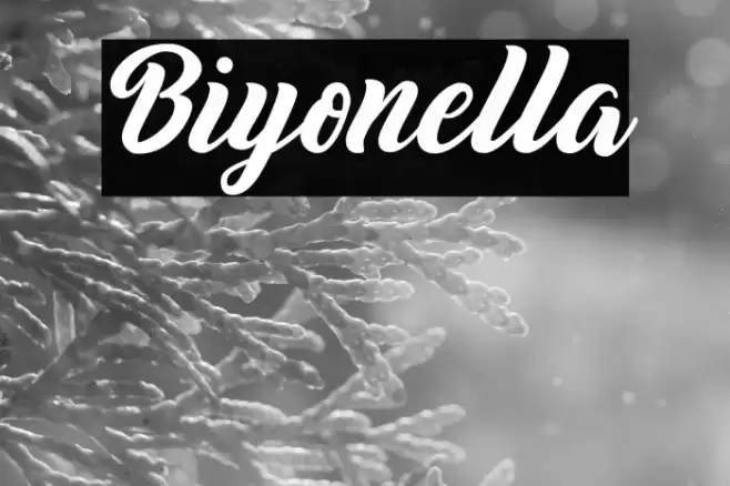 Biyonella Font examples
