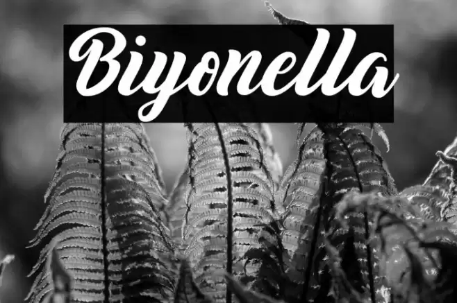 Biyonella Font examples