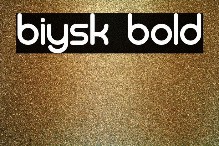 Biysk Bold Font examples