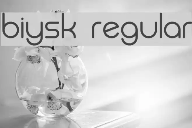 Biysk Regular Font examples