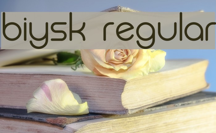 Biysk Regular Font examples