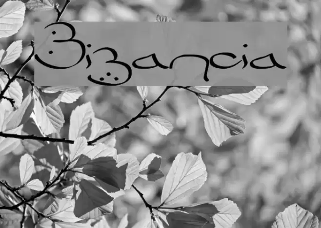 Bizancia Font examples
