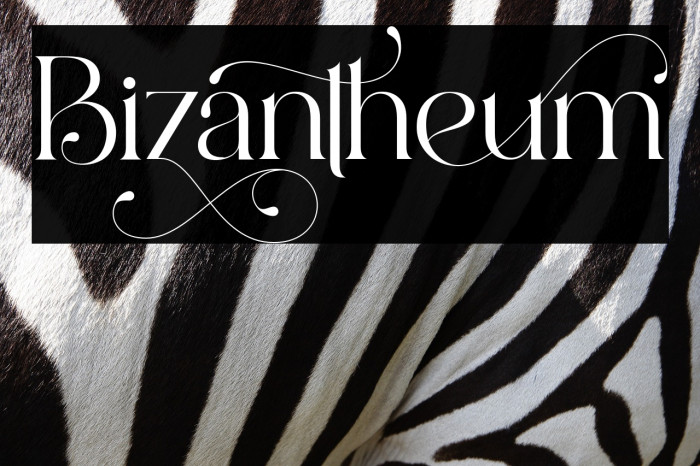 Bizantheum Example 1