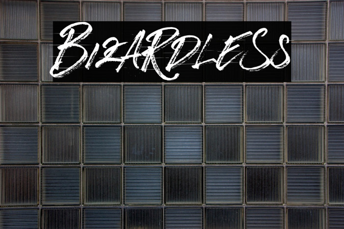 BizardleSs Example 1