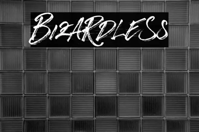 BizardleSs Font examples