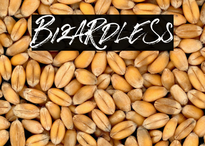 BizardleSs Example 2