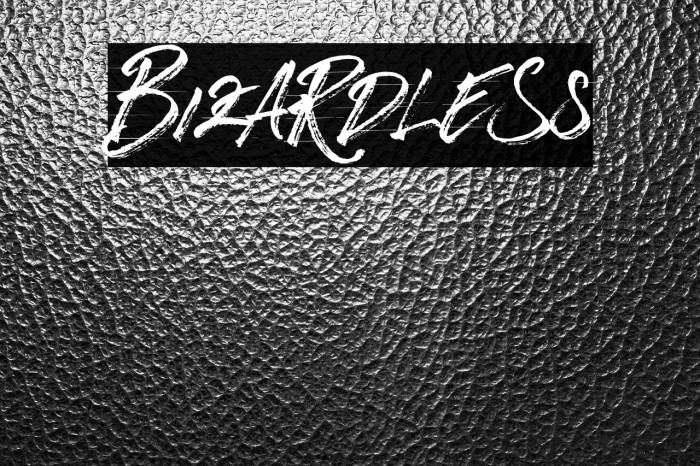 BizardleSs Example 3