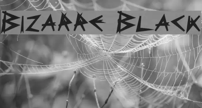 Bizarre Black Font examples