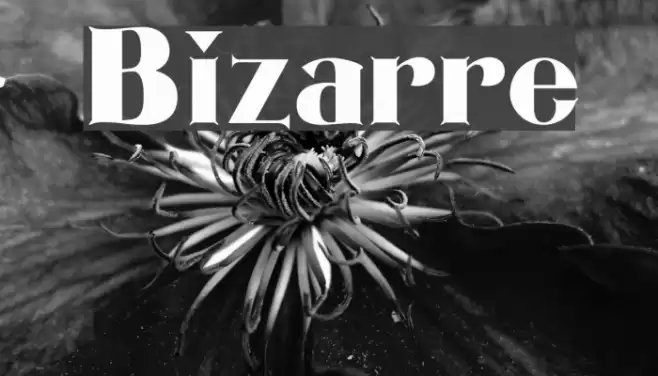 Bizarre Font examples