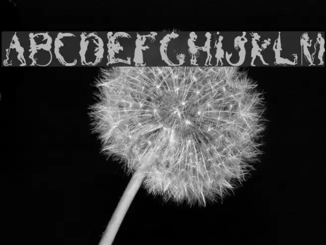 Bizarro Font examples