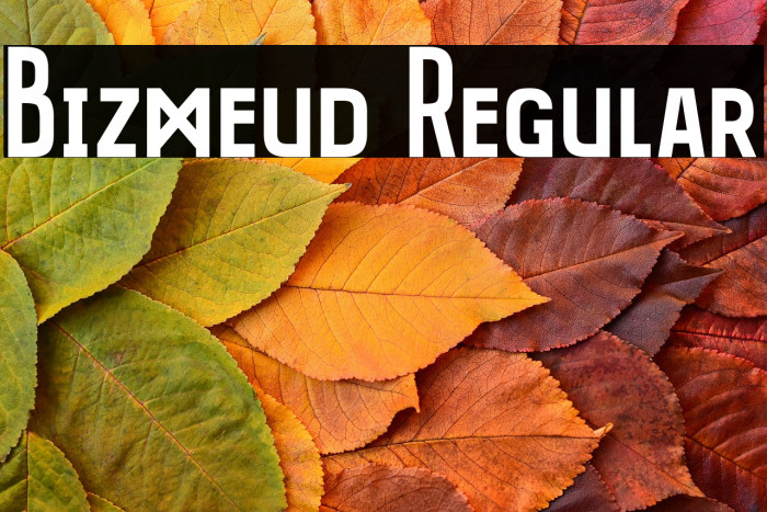 Bizmeud Regular Example 1