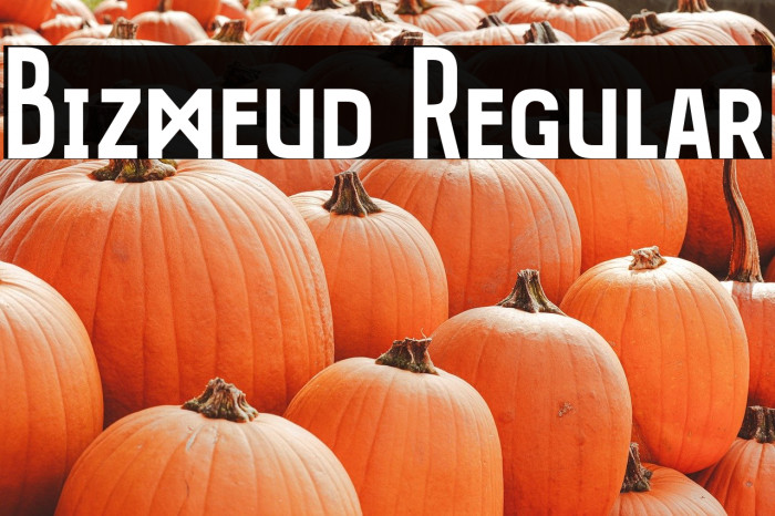 Bizmeud Regular Example 2