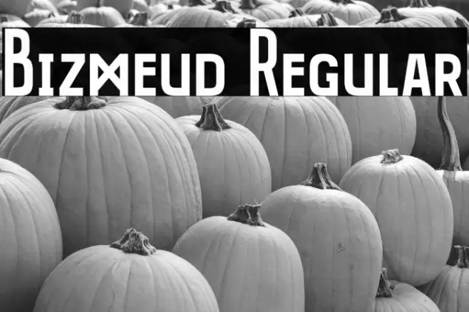 Bizmeud Regular Font examples
