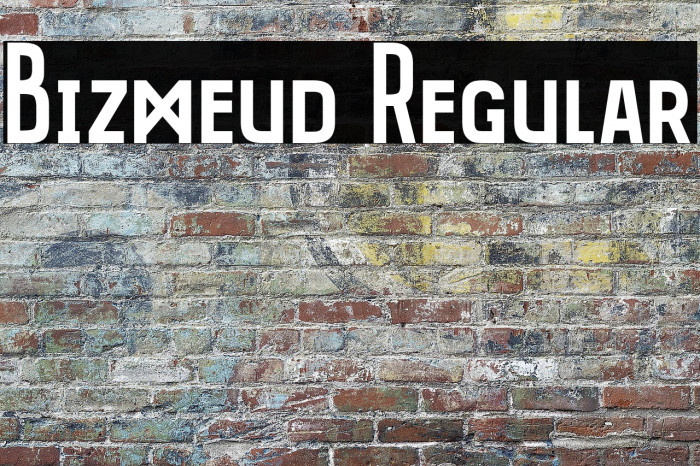 Bizmeud Regular Example 3