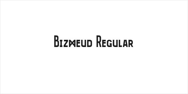 Bizmeud Regular Logo
