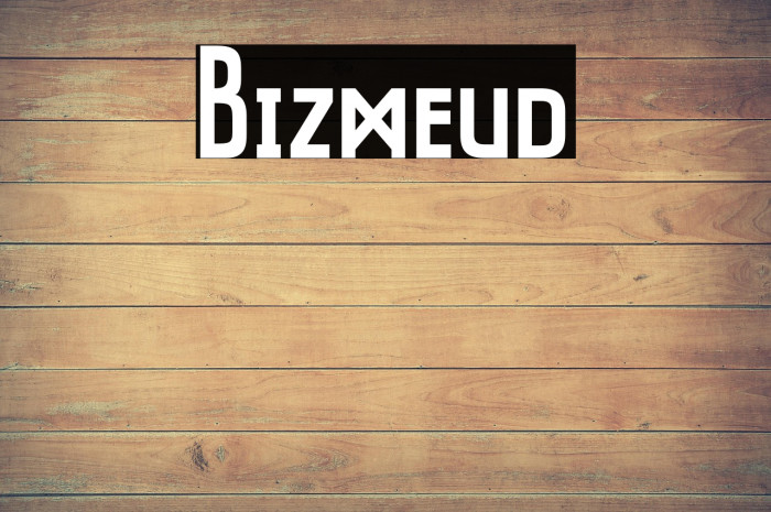 Bizmeud Example 1