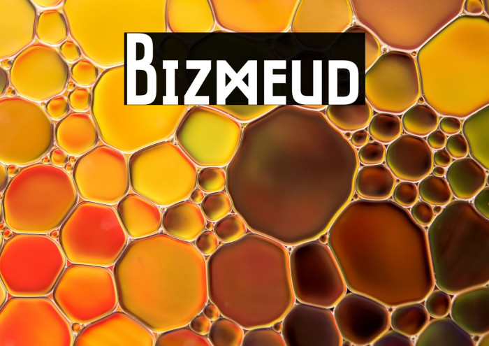 Bizmeud Example 2
