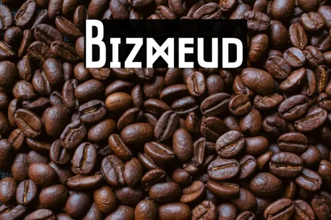 Bizmeud Example 3