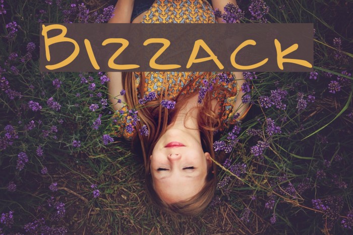 Bizzack Font examples