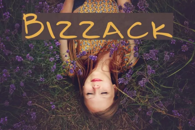 Bizzack Example 3